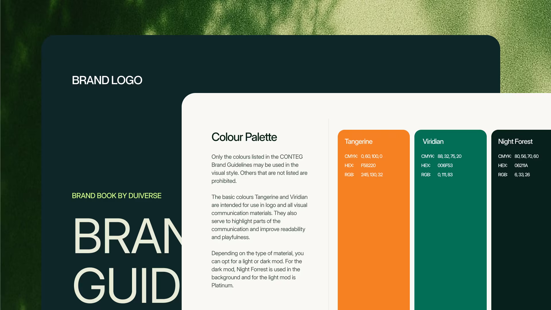 Color, typography, and visual system